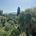 Bugenvilla - South Corfu House