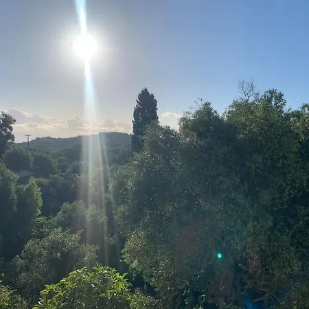 Bugenvilla - South Corfu House Prázdninový dům