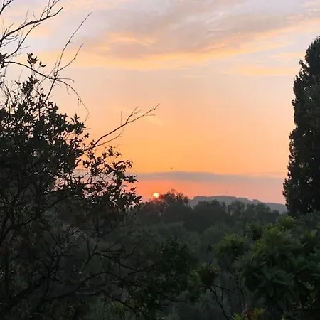 Bugenvilla - South Corfu House Argyrades