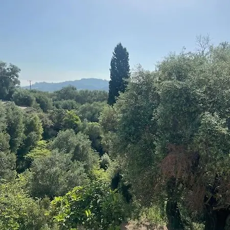 Bugenvilla - South Corfu House