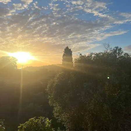Bugenvilla - South Corfu House
