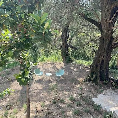 Bugenvilla - South Corfu House * Argyrades