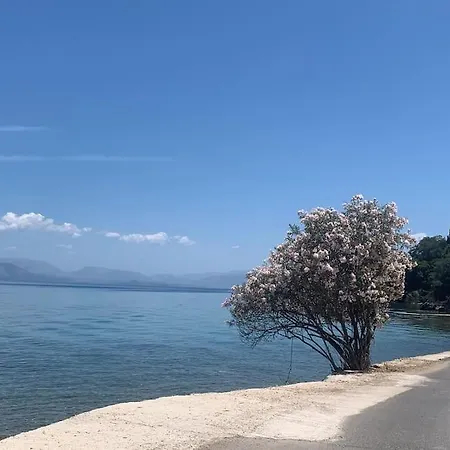 Bugenvilla - South Corfu House *