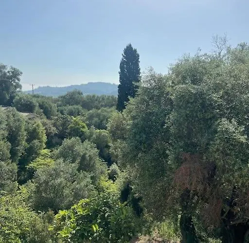 Bugenvilla - South Corfu House