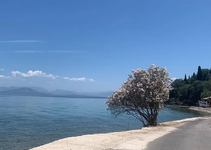 Bugenvilla - South Corfu House *