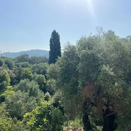 Bugenvilla - South Corfu House Holiday home Argyrades